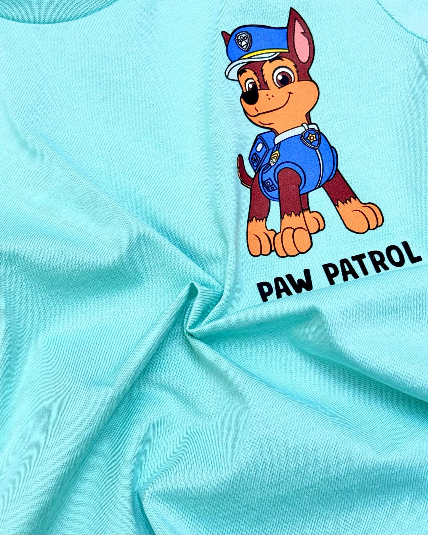 Paw Patrol Printed Shorts T-Shirt Co-Ord Set