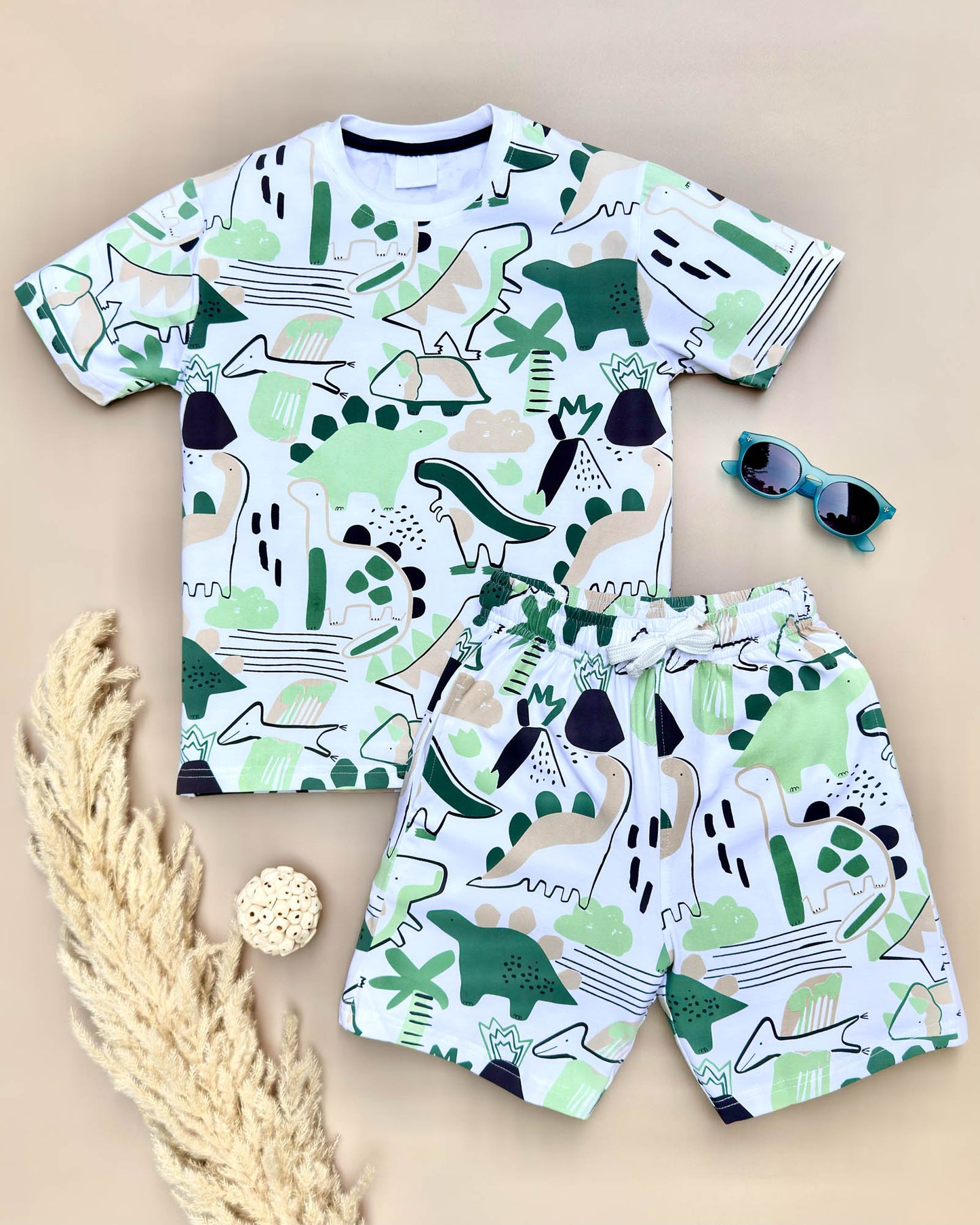 Dino Toon Print T-Shirt & Shorts Co-Ord Set