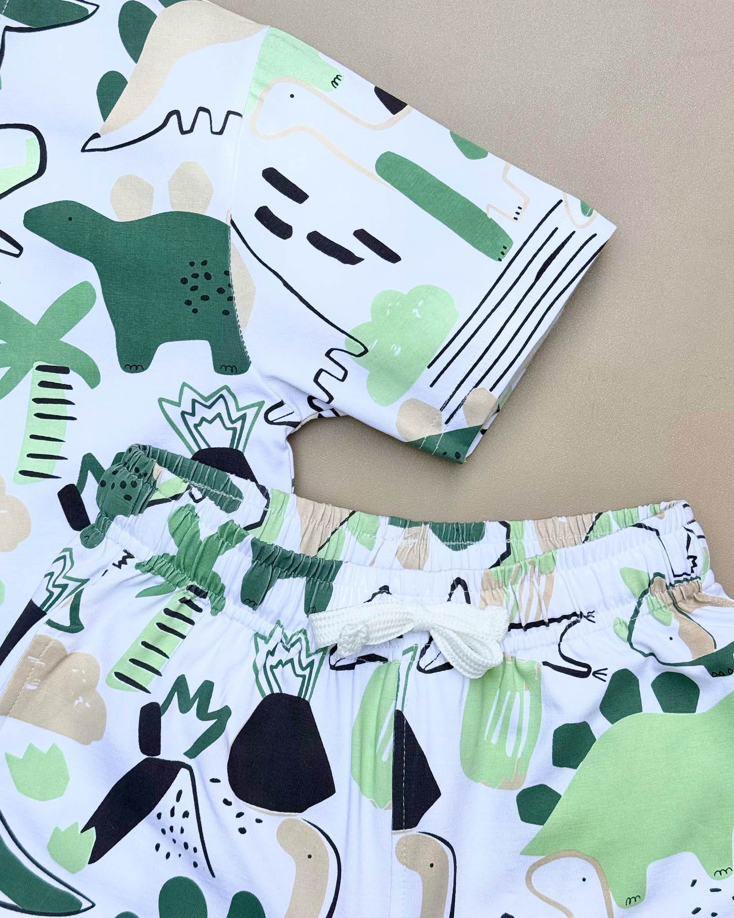 Dino Toon Print T-Shirt & Shorts Co-Ord Set