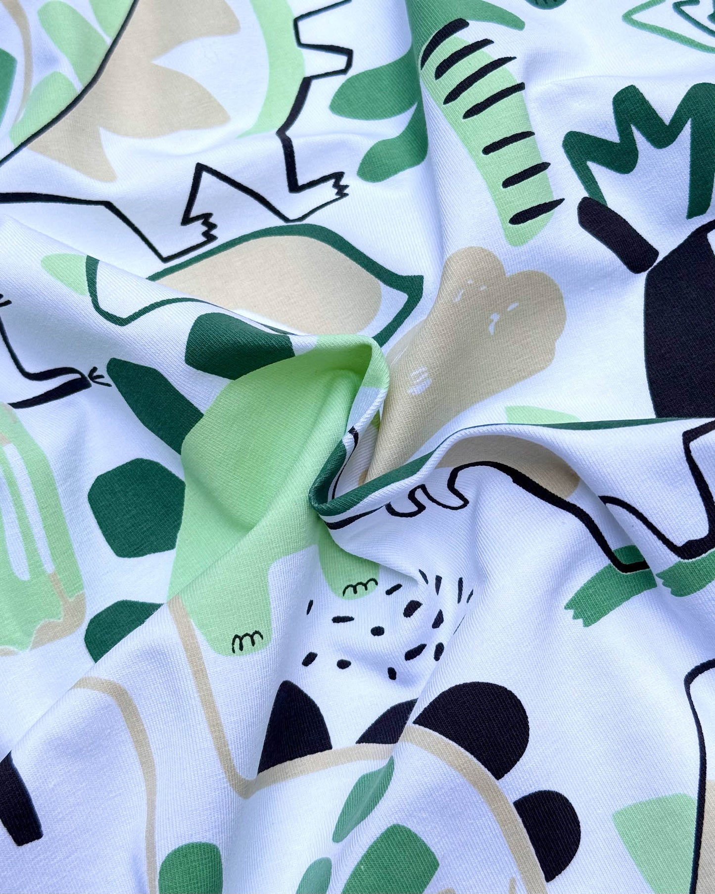 Dino Toon Print T-Shirt & Shorts Co-Ord Set