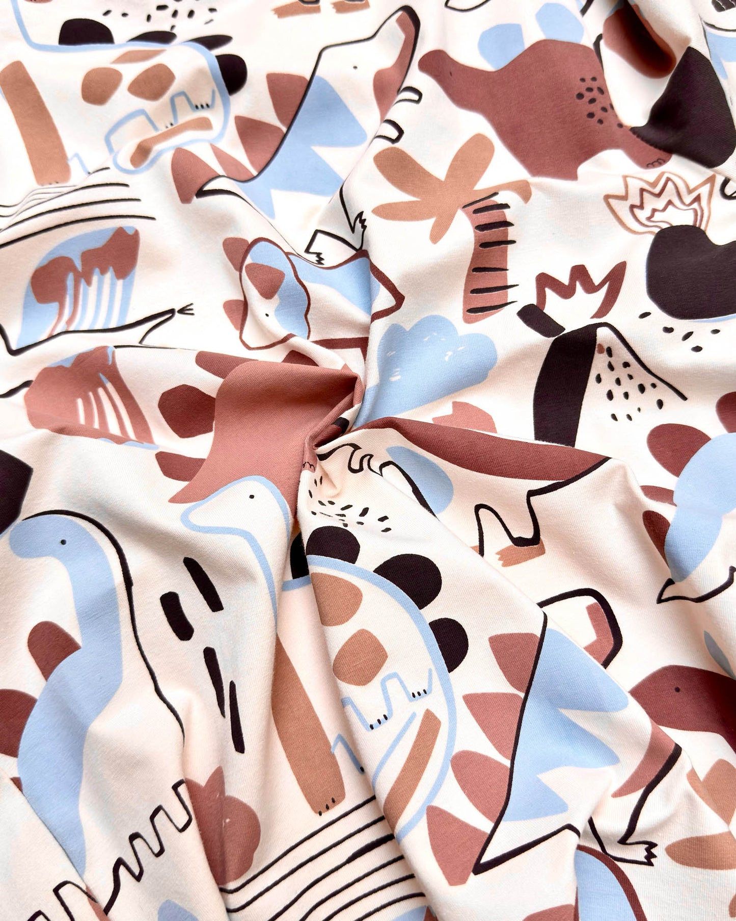 Dino Toon Print T-Shirt & Shorts Co-Ord Set