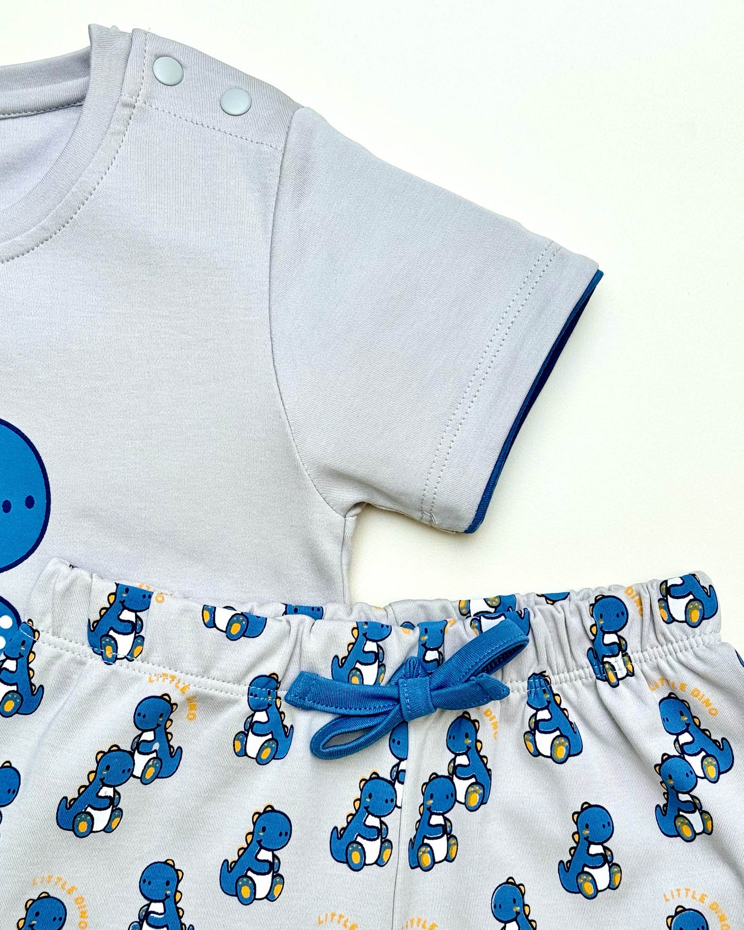 Little Dino Print T-Shirt & Shorts Co-Ord Set