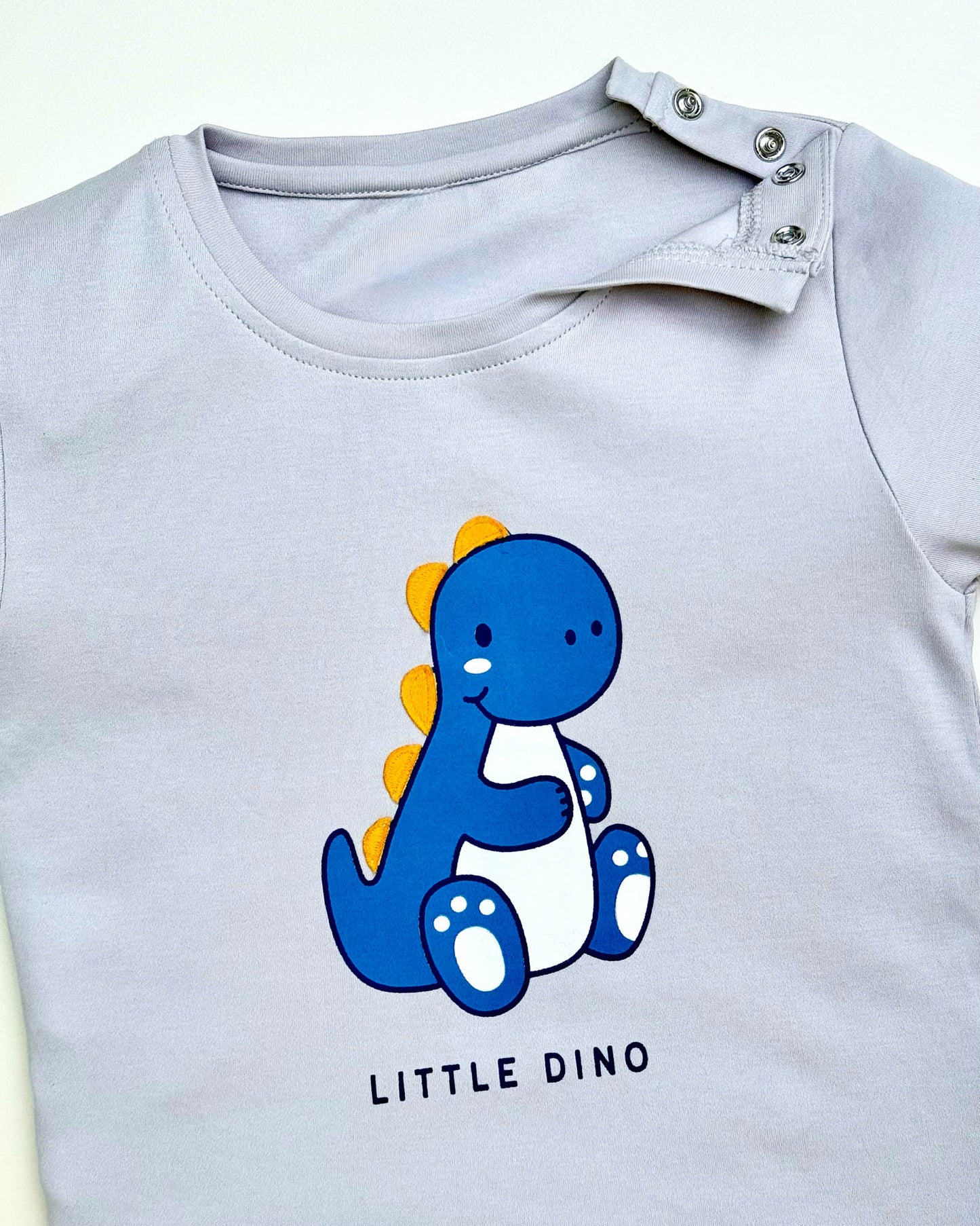 Little Dino Print T-Shirt & Shorts Co-Ord Set