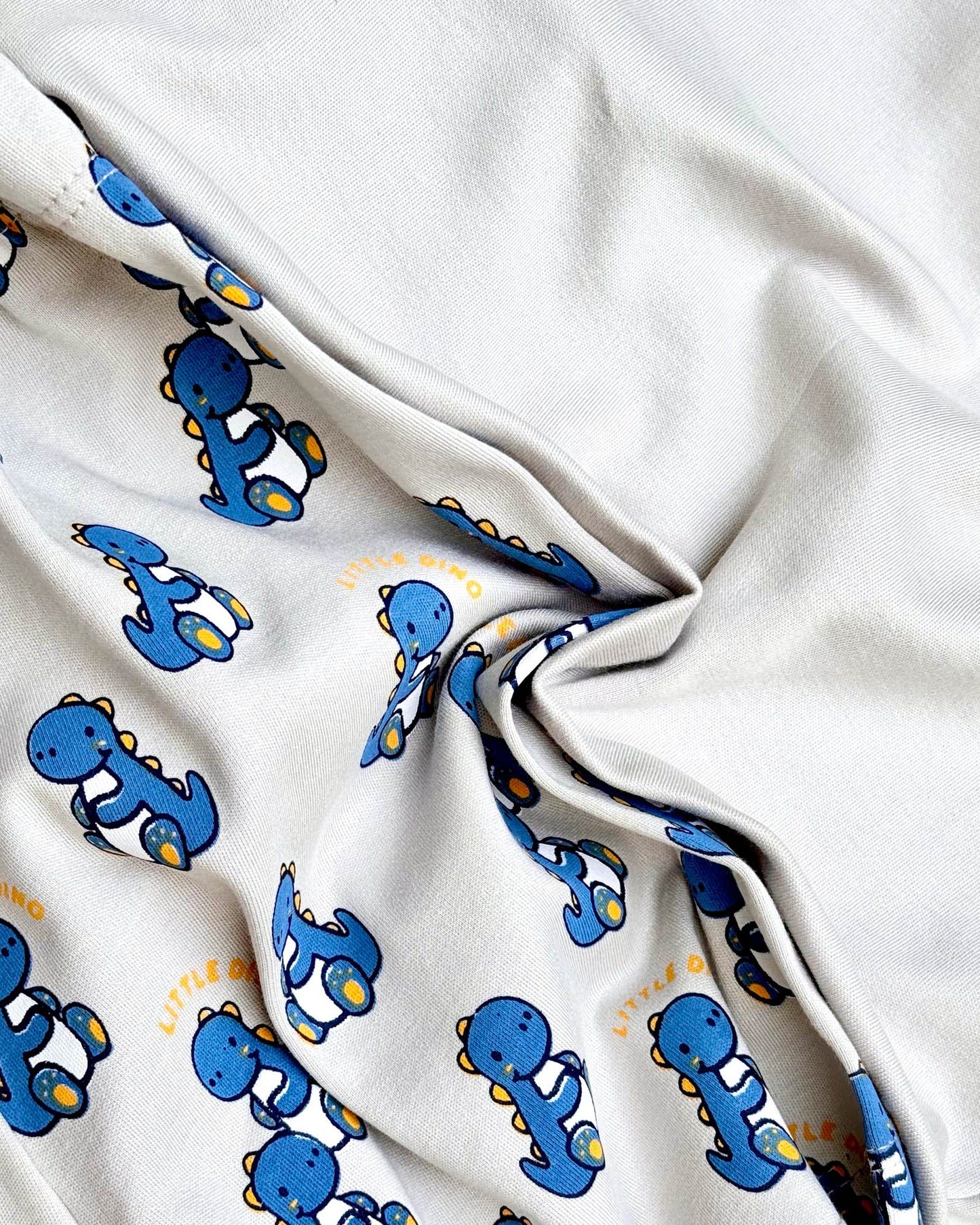 Little Dino Print T-Shirt & Shorts Co-Ord Set