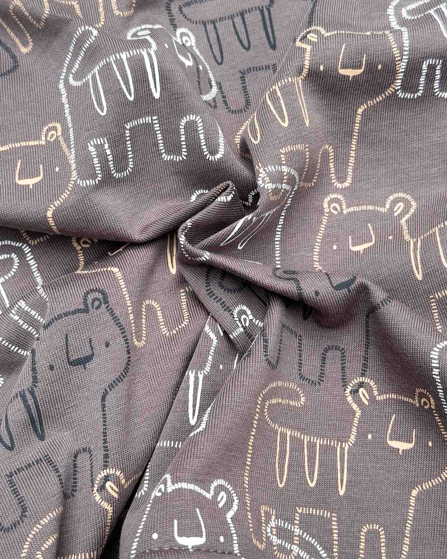 Full Sleeve Front Open Lion Graffiti Printed Co-ord Set