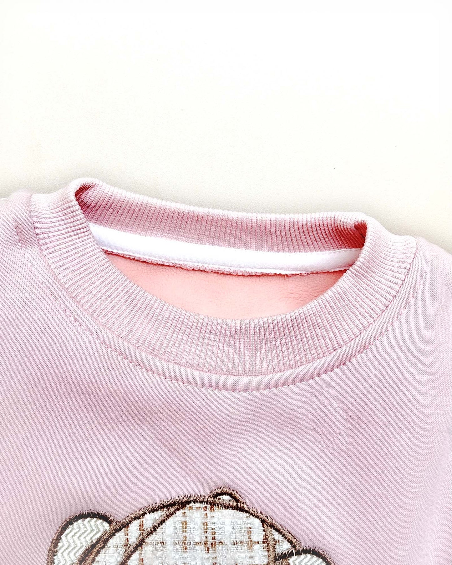 Full-Sleeve Teddy Bear Embroidery Sweatshirt