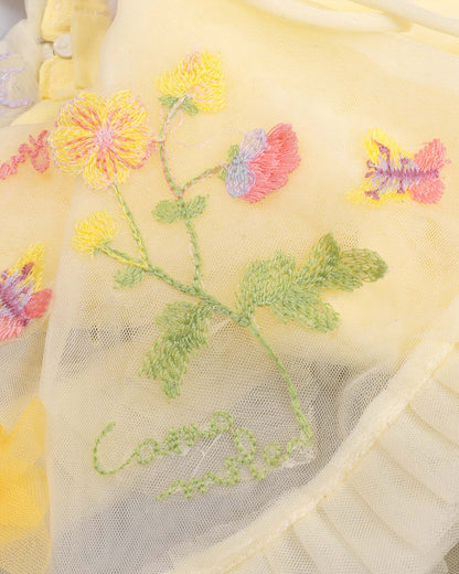 Fairy Tale Embroidered Cape Collar Dress