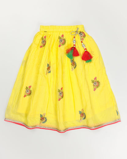 Embroidered Crop Top & Skirt Style Lengha Set