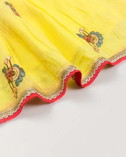 Embroidered Crop Top & Skirt Style Lengha Set
