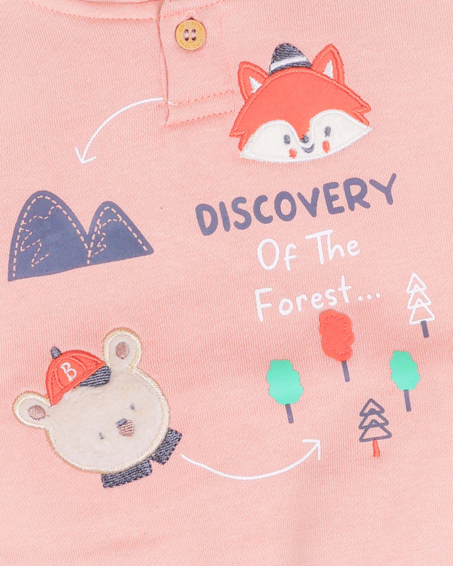 Red Panda Appliqued Fleeced Hoodie Co-ord Set