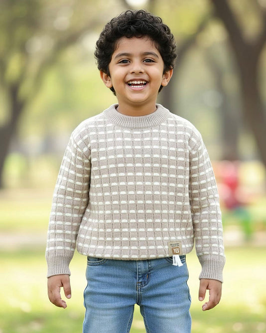 Fine Lines Woven Textured Sweater