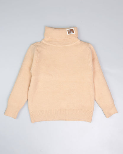 Turtle-Neck Soft Textured Sweater