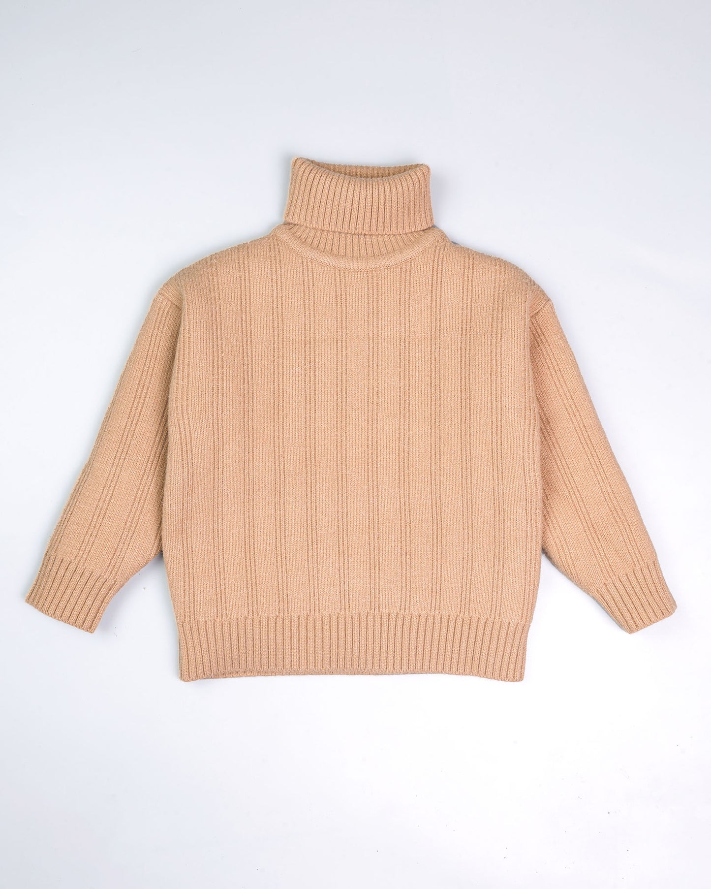 Turtle-Neck Fleeced Textured Sweater