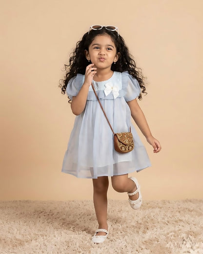 Organza Flare Casual Dress with Cotton Lining & Bow Detail
