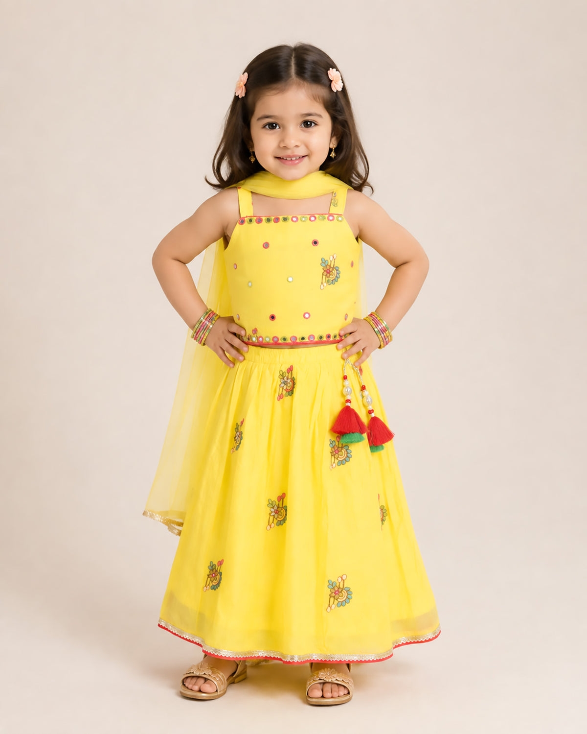 Embroidered Crop Top & Skirt Style Lengha Set