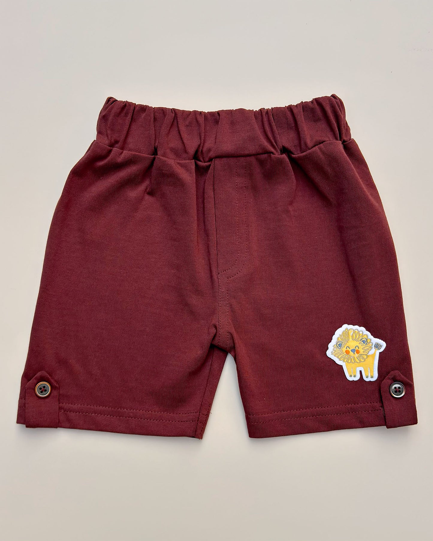 Lion & Dino Safari T-Shirt & Shorts Co-ord Set