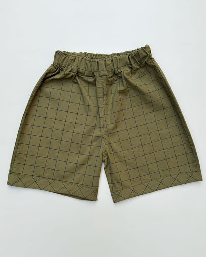 Lion Toy Applique T-Shirt & Check Shorts Co-Ord Set