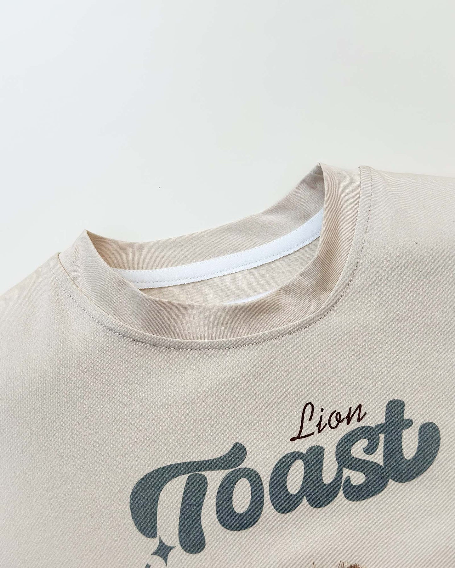Lion Toy Applique T-Shirt & Check Shorts Co-Ord Set