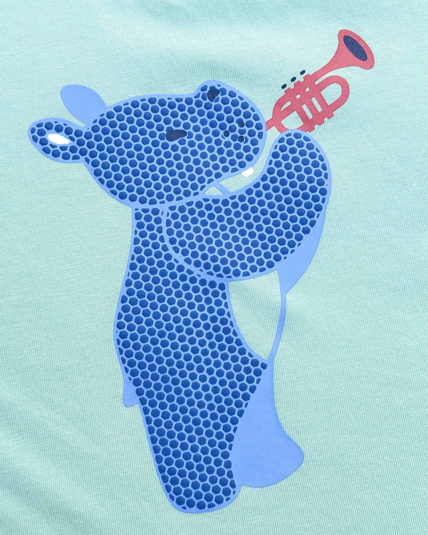 Musical Hippo T-Shirt & Shorts Co-ord Set