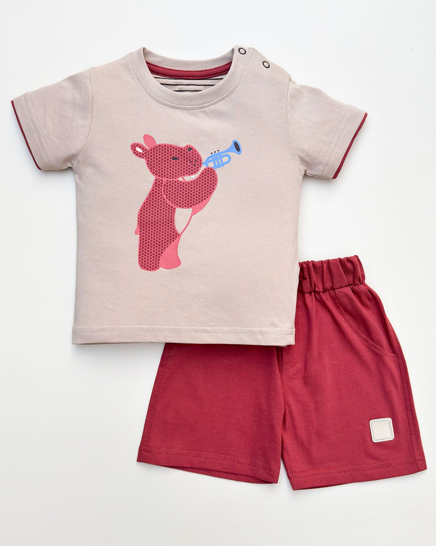 Musical Hippo T-Shirt & Shorts Co-ord Set