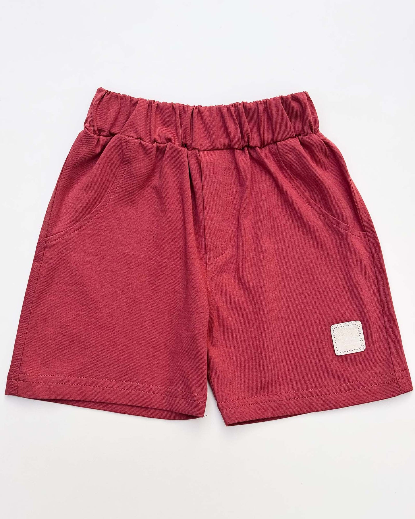 Musical Hippo T-Shirt & Shorts Co-ord Set