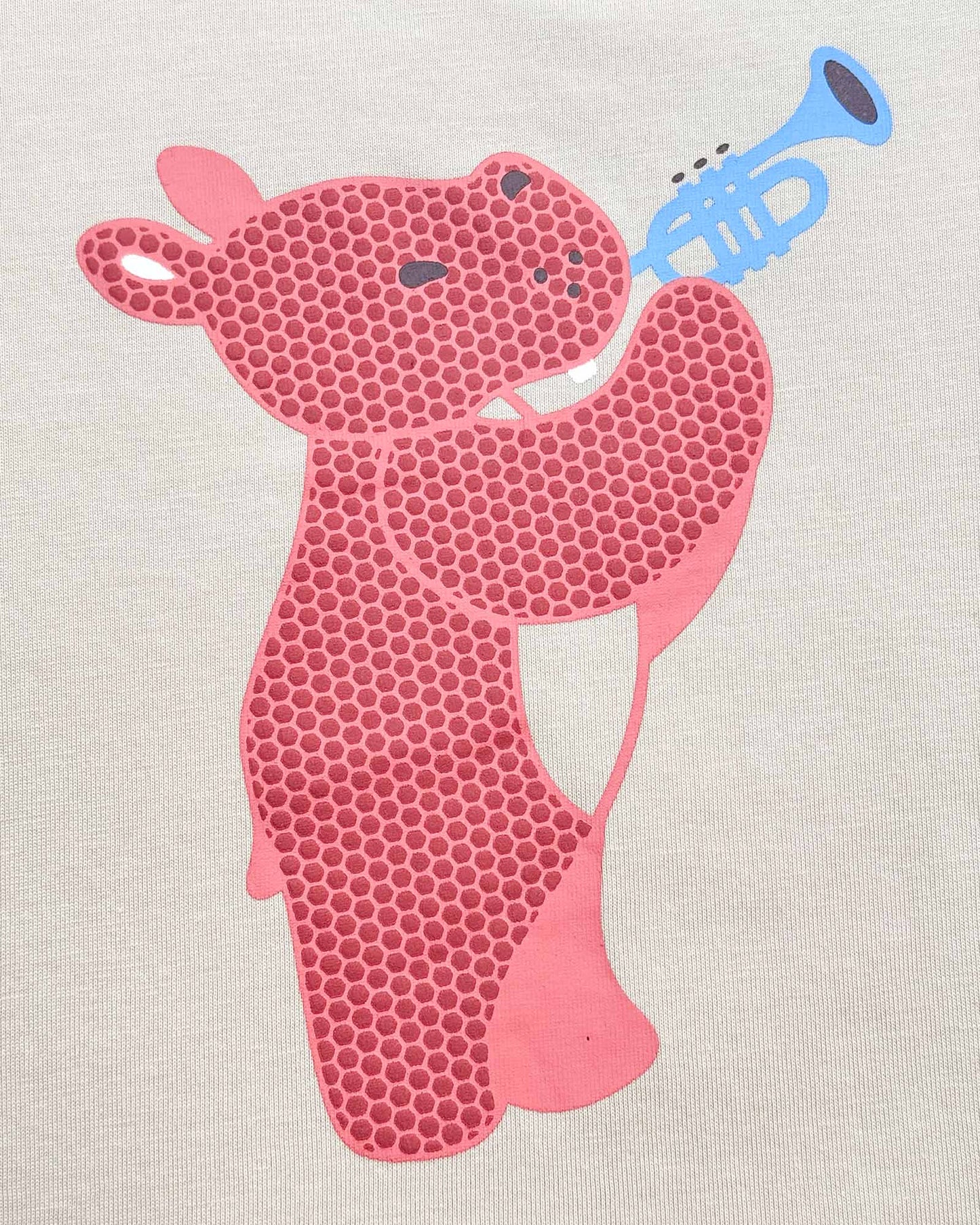Musical Hippo T-Shirt & Shorts Co-ord Set