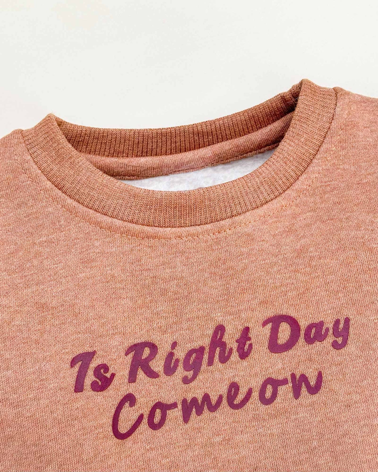 Fur Coat Fleeced Casual Dress With Jogger & Broach Details