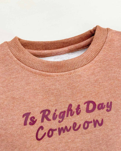 Fur Coat Fleeced Casual Dress With Jogger & Broach Details