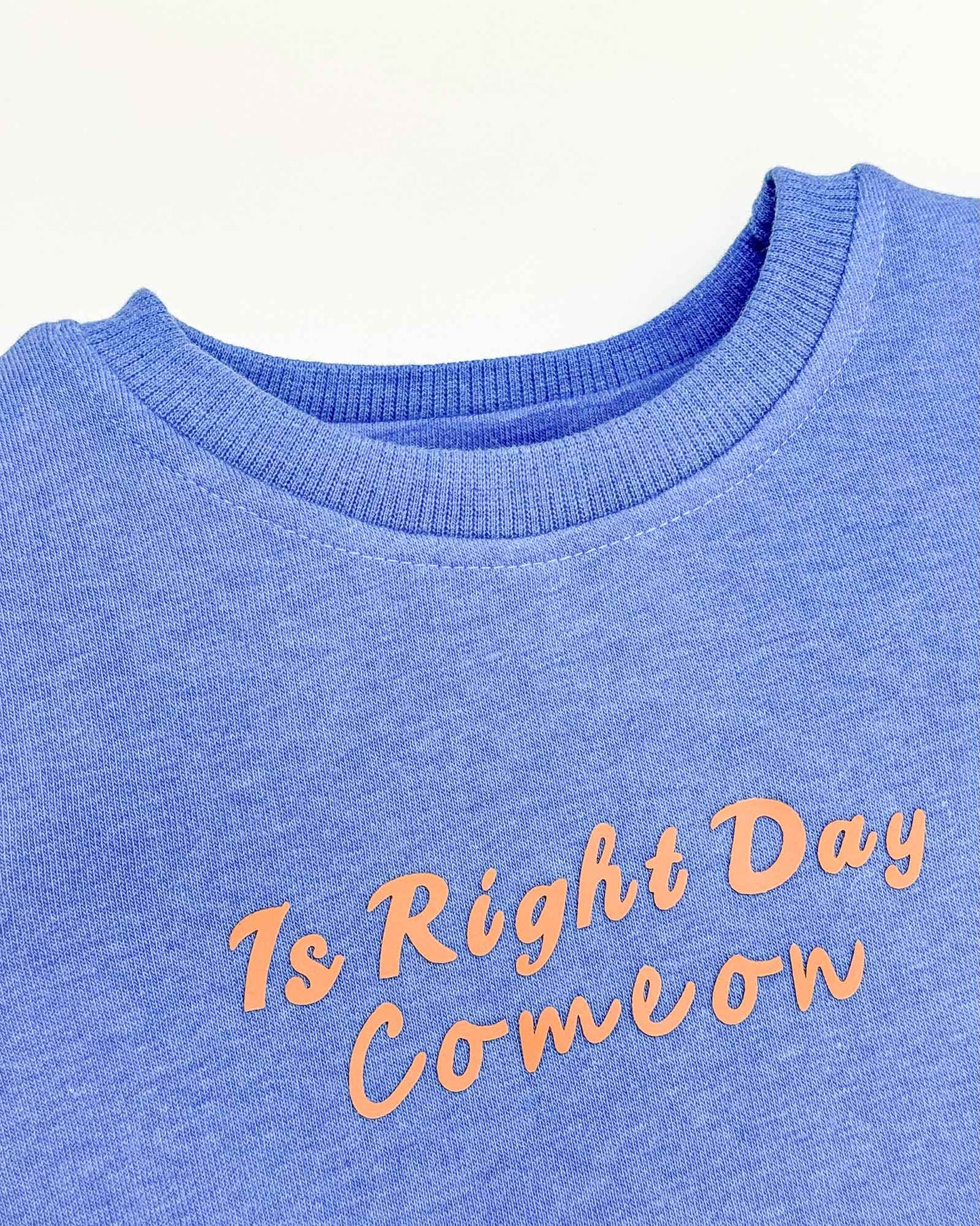 Fur Coat Fleeced Casual Dress With Jogger & Broach Details