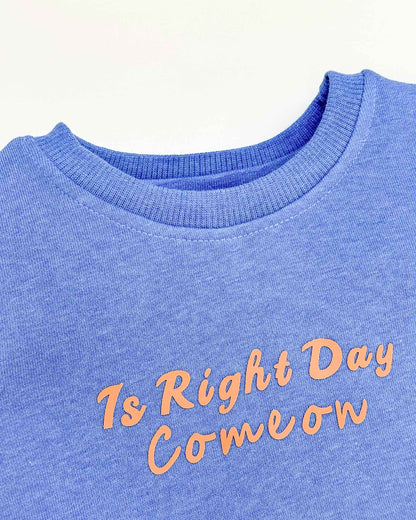 Fur Coat Fleeced Casual Dress With Jogger & Broach Details