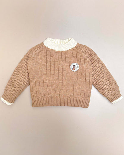 Full Sleeve Brick Textured Sweater