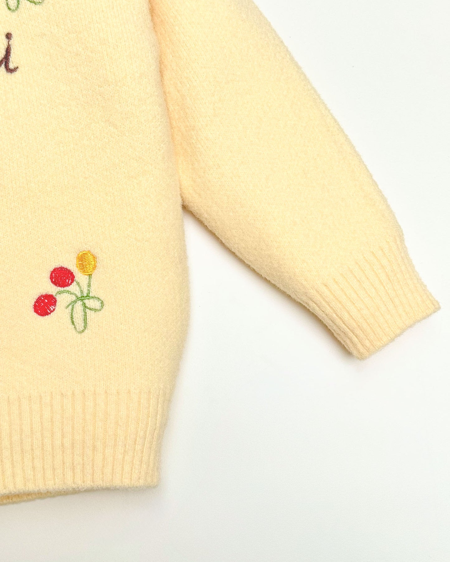 Full Sleeve Berry Embroidered Sweater