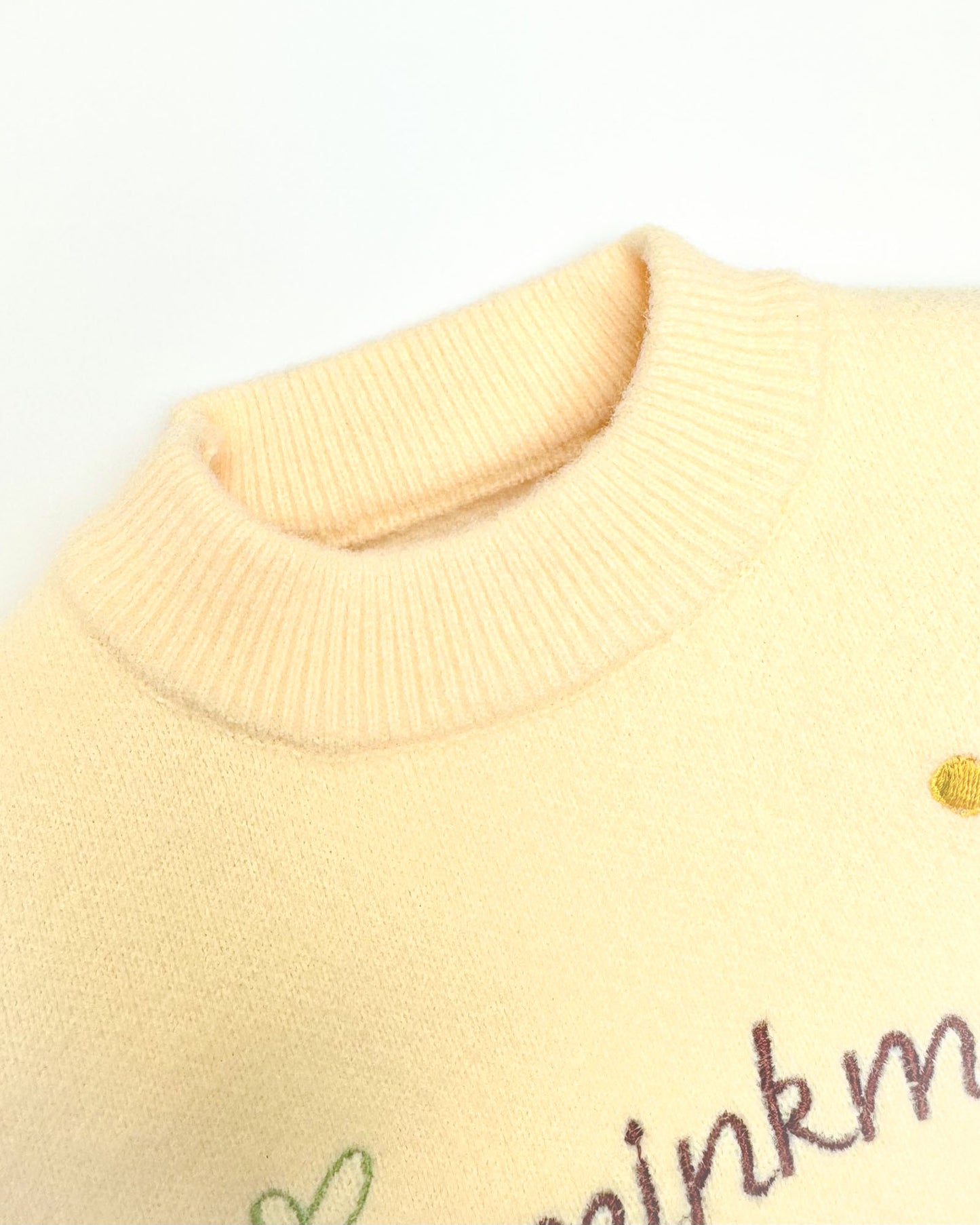 Full Sleeve Berry Embroidered Sweater