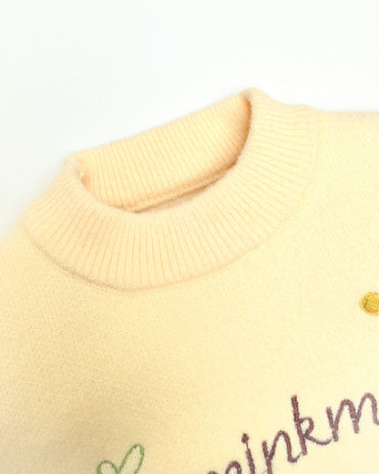 Full Sleeve Berry Embroidered Sweater