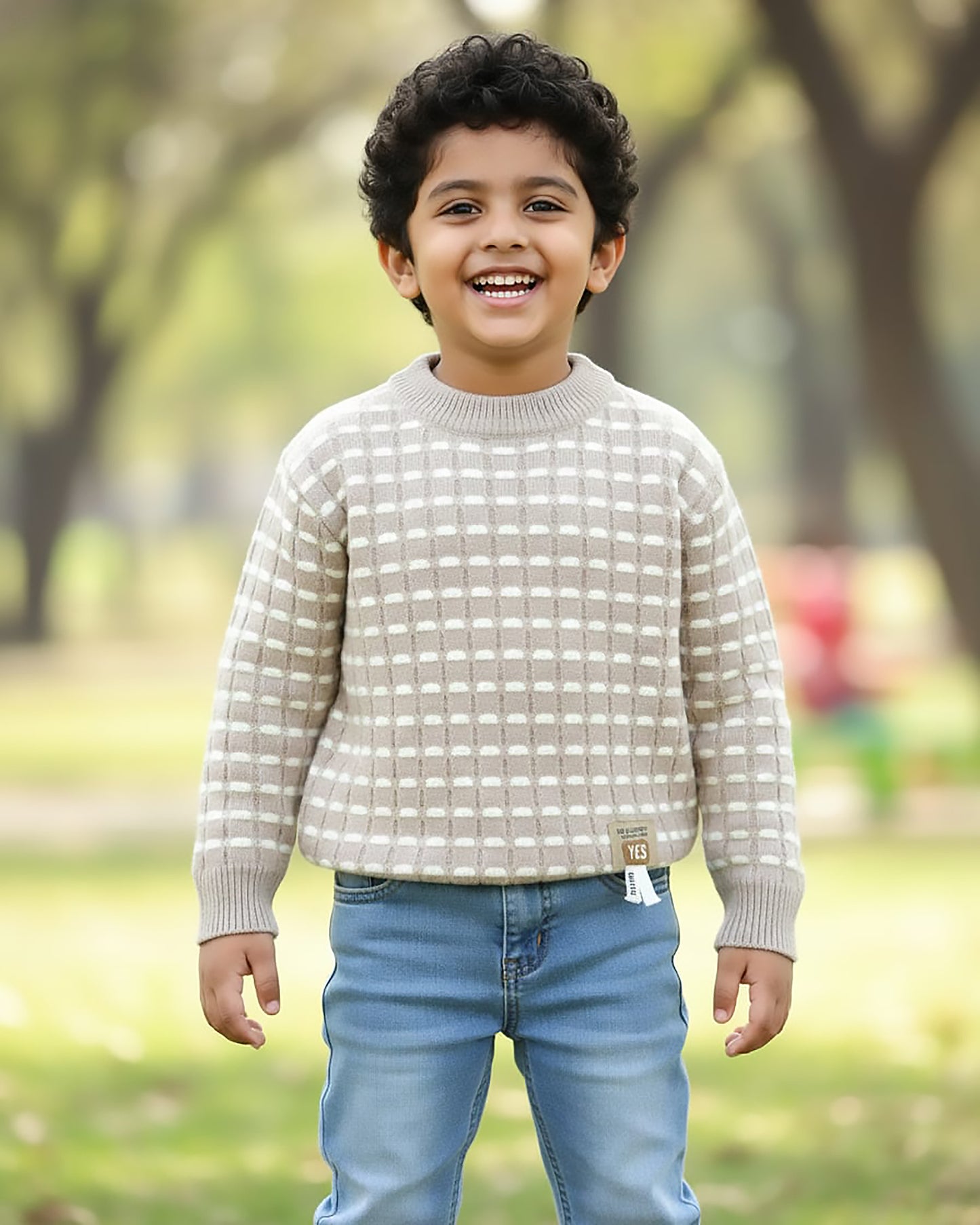 Fine Lines Woven Textured Sweater