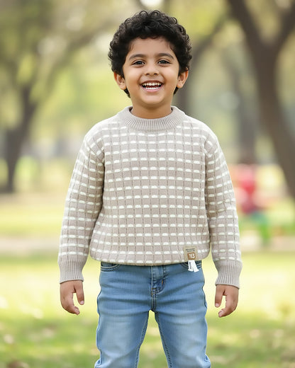 Fine Lines Woven Textured Sweater