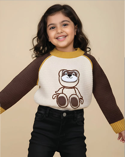 Applique Toy Knitted Textured Sweater